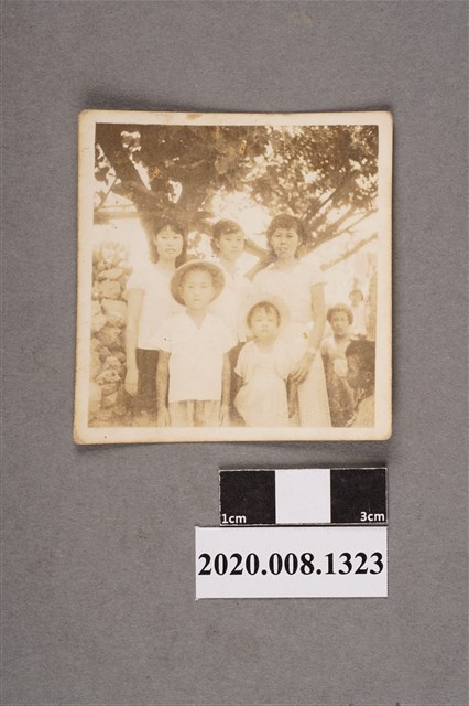 5名女子樹下合照 (共2張)