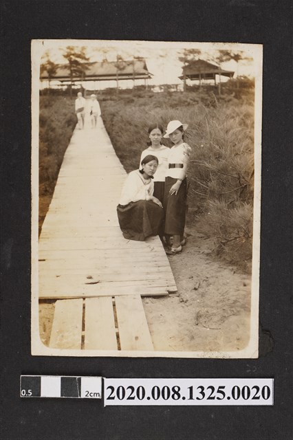 3名女子合照 (共2張)