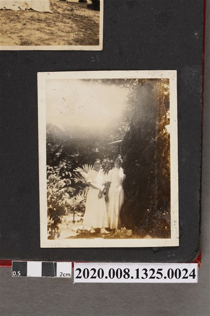 2名女子於樹旁合照 (共2張)