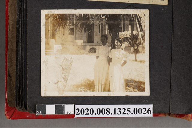 2名女子於樹下合照 (共2張)