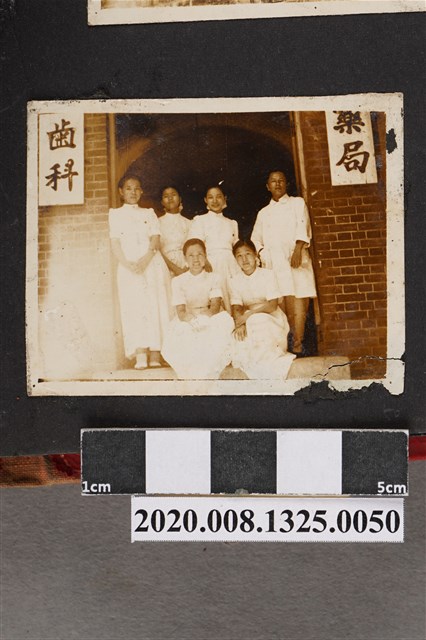 6名女子合照 (共2張)