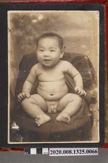 嬰兒獨照 (共2張)