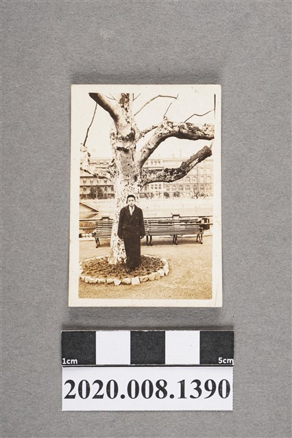 男子於樹下獨照 (共2張)