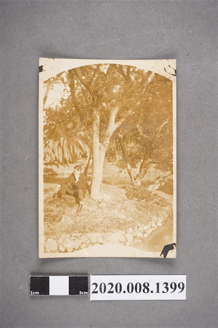 男子坐於樹下獨照 (共2張)