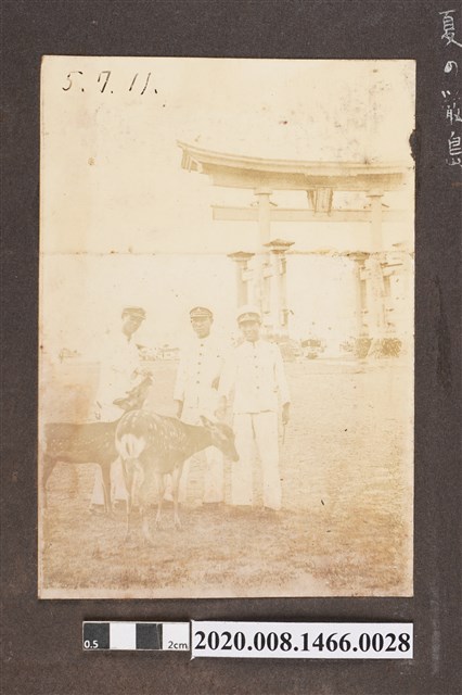 3名男子與鹿於鳥居前合照 (共2張)
