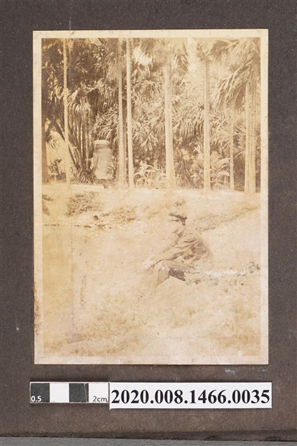 男子於池畔獨照 (共2張)