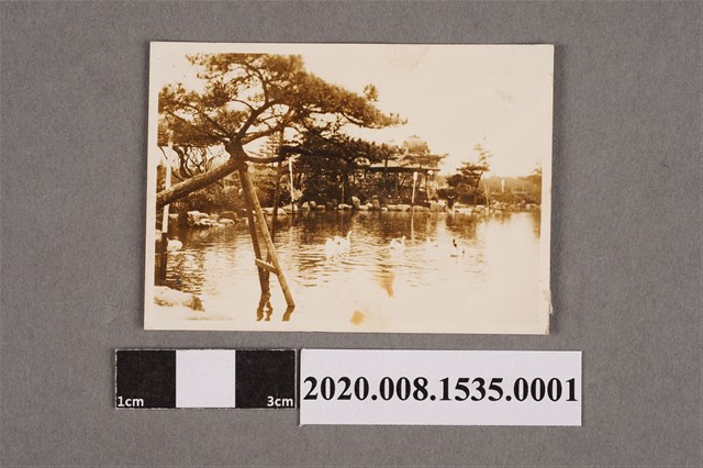 湖面一景 (共4張)