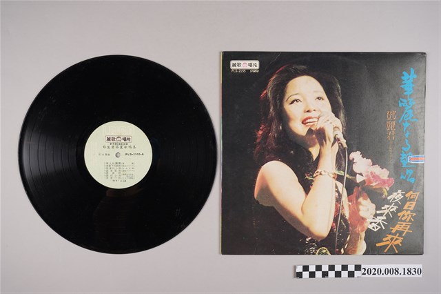 鄧麗君 華麗なる熱唱 (共2張)