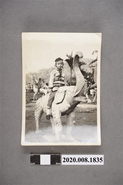 坐在公園動物石雕上的女孩 (共2張)