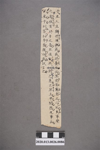 清代私塾學生童生手稿-86 (共2張)