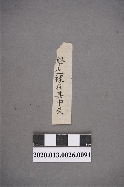 清代私塾學生童生手稿-91 (共2張)