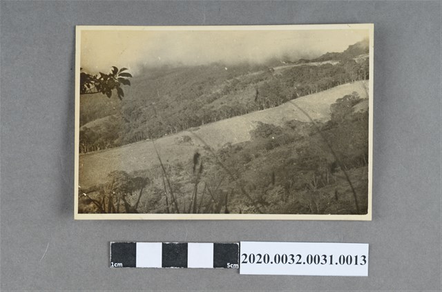 梯田風景照 (共3張)