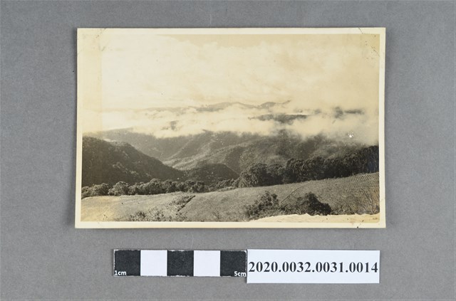 梯田與雲海風景照 (共3張)