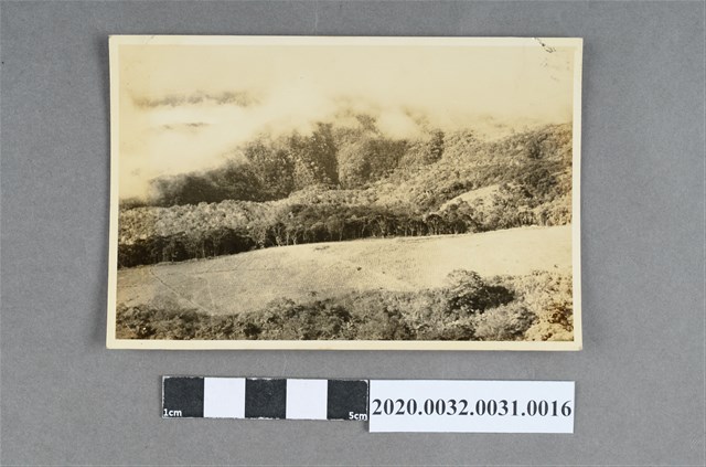 梯田與雲海風景照 (共3張)