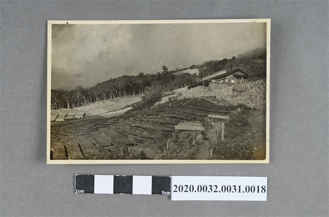 梯田風景照 (共3張)