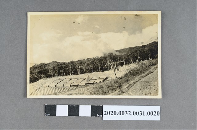 梯田風景照 (共3張)