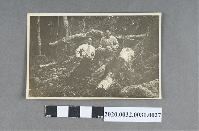 兩名男子於開墾地合影 (共3張)