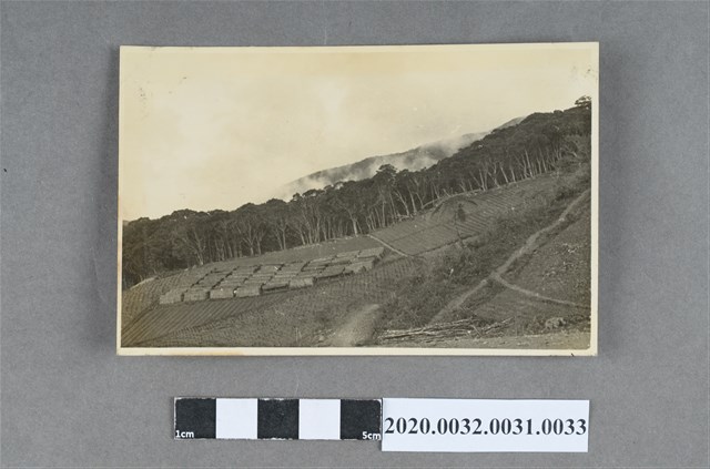 梯田風景照 (共3張)