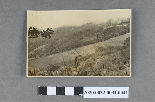 梯田風景照 (共3張)