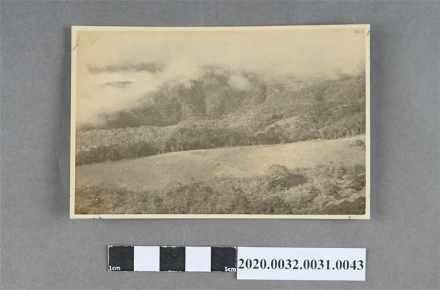 梯田與雲海風景照 (共3張)