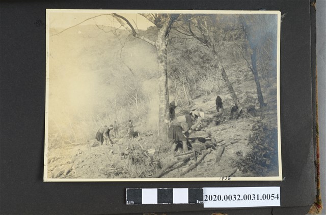 整地照片 (共2張)