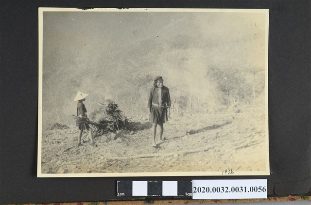 整地照片 (共2張)