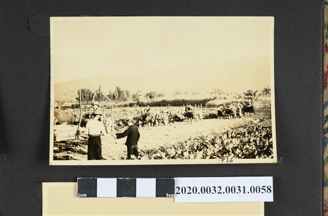 田野風景照 (共2張)