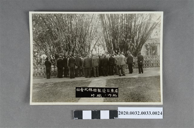 一群人於屏東臺灣製糖株式會賞竹照 (共3張)