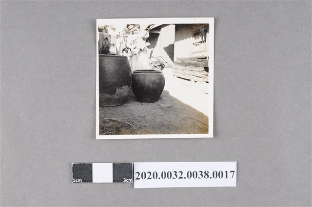 廖楊桃製造酒母照片 (共3張)