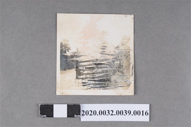 吳姚媳製造私菸案運回情形照片 (共2張)