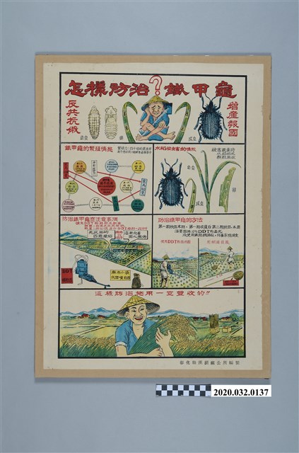 防治鐵甲龜海報 (共2張)