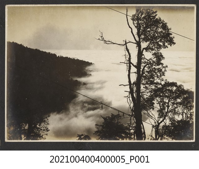 鹿林山雲海 (共1張)