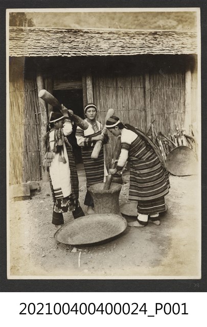 搗小米的泰雅族婦女 (共1張)