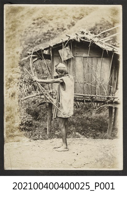 射箭中的泰雅族男子 (共1張)