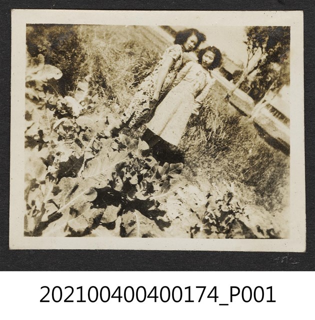 二女攝於菜園 (共1張)