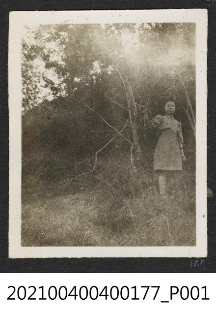 一女站在樹林 (共1張)