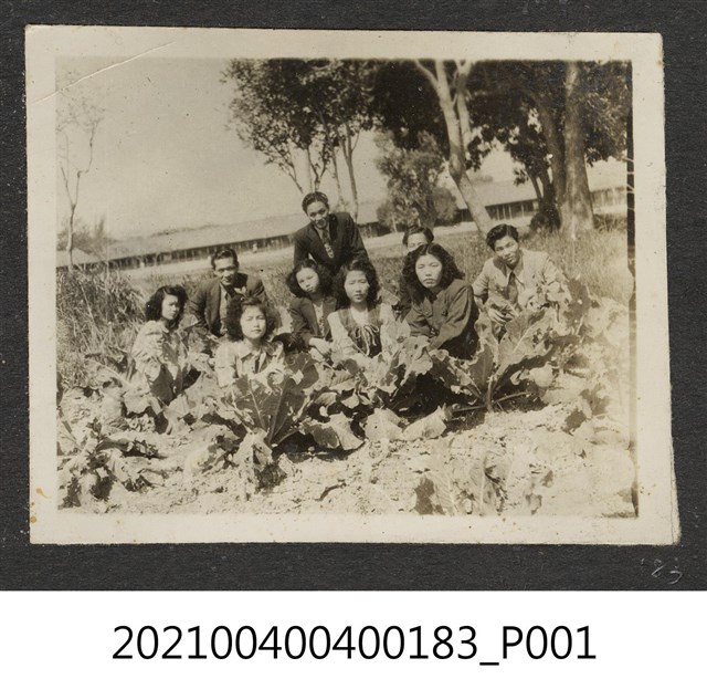 阿益與友人攝於菜園 (共1張)