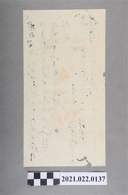 大正15年林少超向製造「蔡司望遠鏡」之公司索取樣本之書信  (共1張)