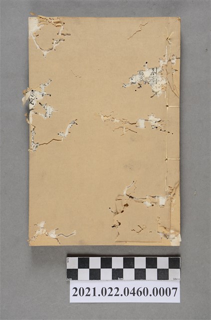 《乾象典》卷34至卷38 (共3張)