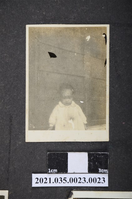 蘇淑真孩童時期於藥店前照片 (共2張)