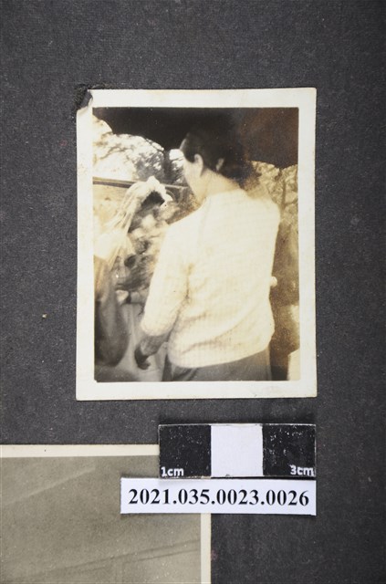 一名婦人撐黑傘照 (共2張)