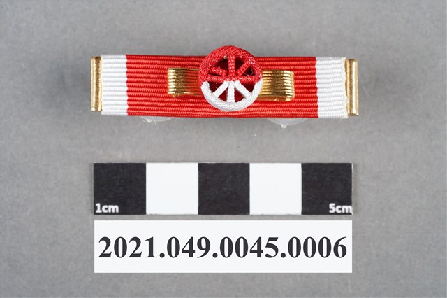 李遠哲2013年巴西國家勳章-科學貢獻國家大十字勳章4 (共7張)