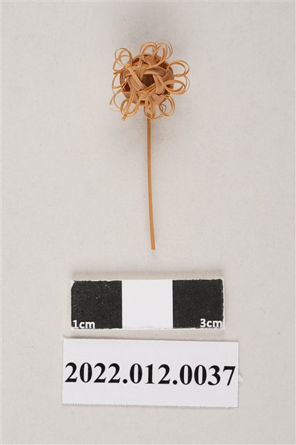 劉靜枝編製球型竹編半成品 (共4張)