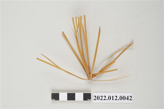 劉靜枝編製竹編半成品 (共4張)