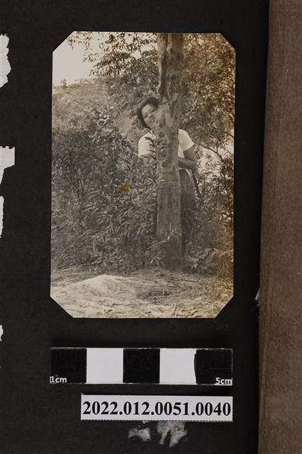 女子與樹合照 (共1張)