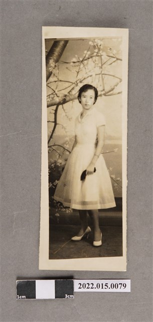 鄭萍著洋裝獨照 (共2張)