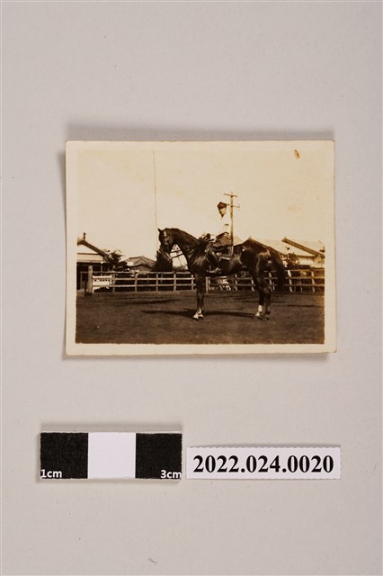 男人騎馬黑白照片 (共2張)