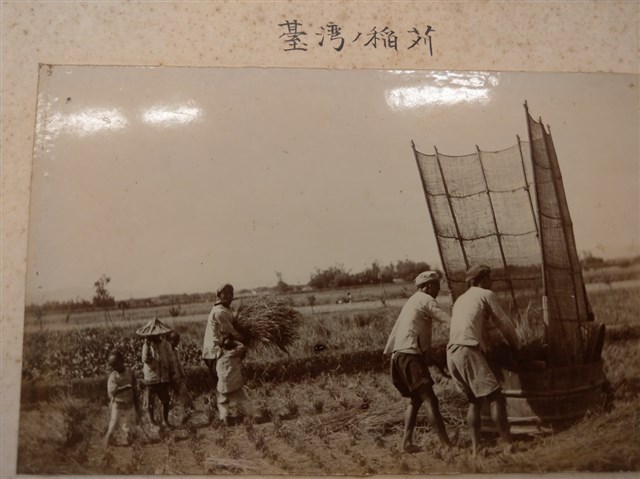 臺灣稻田收割打穀 (共2張)