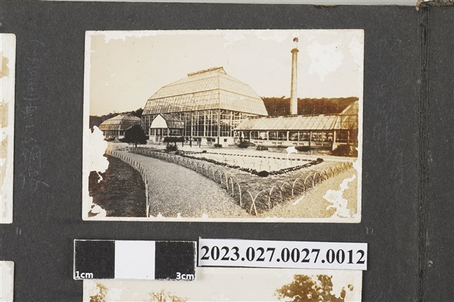 徐家相本相片12 (共1張)