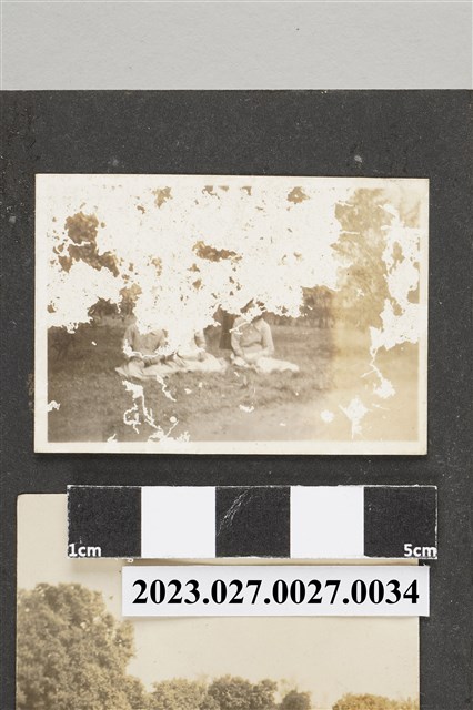 徐家相本相片34 (共1張)